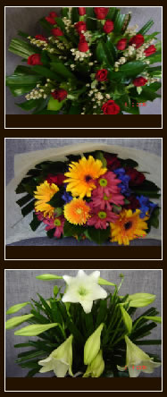 campbelltown florist