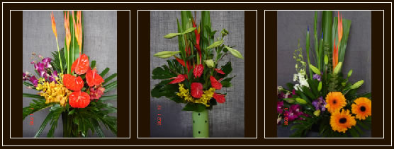 florist campbelltown